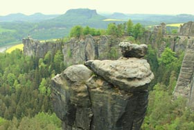 Wehlnadel im Basteigebiet