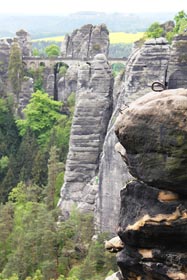 Wehlnadel im Basteigebiet