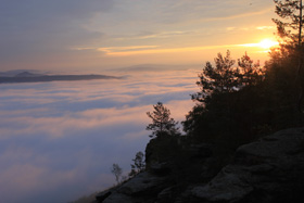 Nebel über dem Elbtal